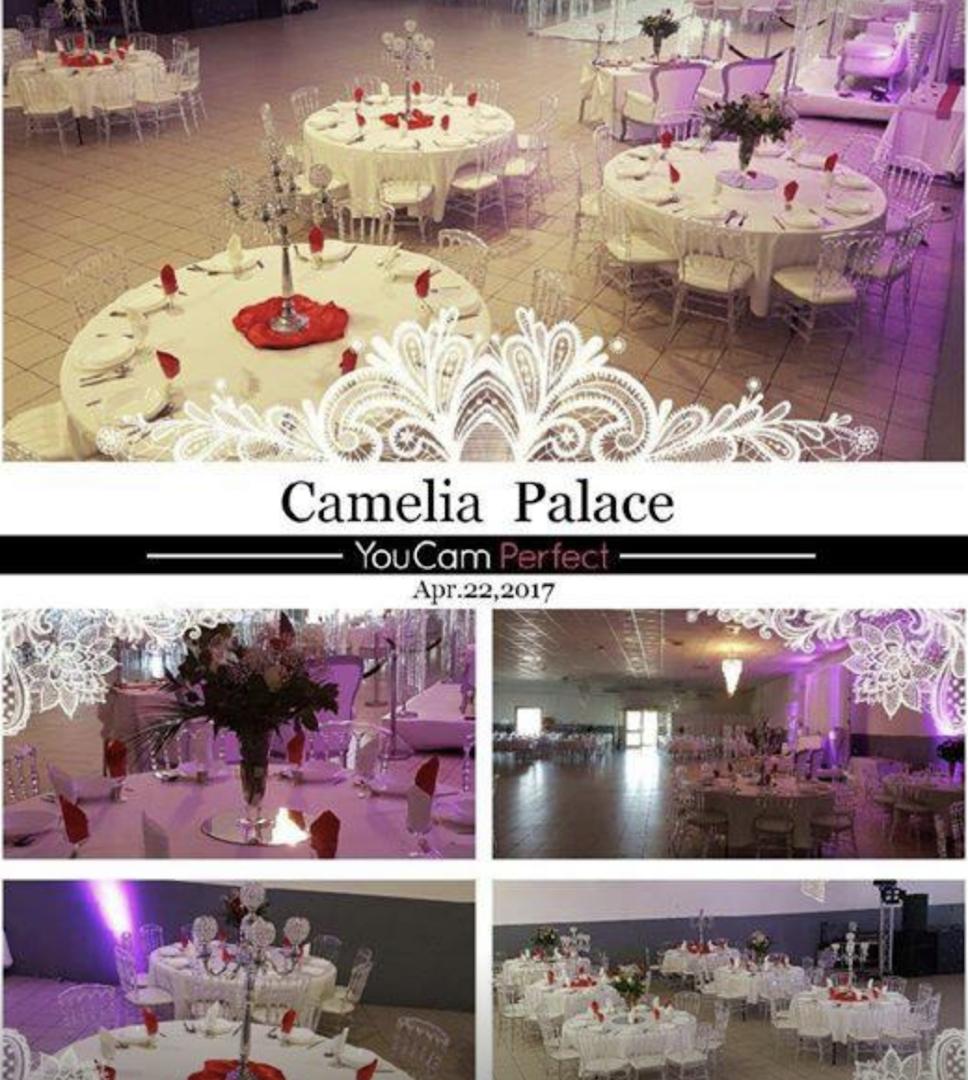 le camelia palace - Photo 2